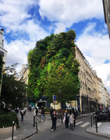 Oasis d&#039;Aboukir by Patrick Blanc, nine years after plant installation, Paris, Sept. 2022