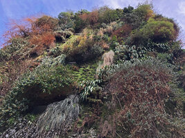 Oasis d&#039;Aboukir during a cold winter spell, Feb. 2021
