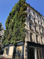 Oasis d&#039;Aboukir in September 2021