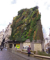 Oasis d&#039;Aboukir in winter, 5th Feb 2014