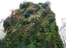 Oasis d&#039;Aboukir in winter, Paris, January 2015