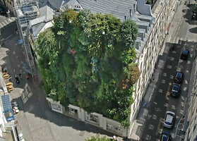 Oasis d'Aboukir, June 2019