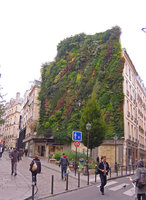 Oasis d&#039;Aboukir by Patrick Blanc, October 2013