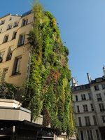 Oasis d&#039; Aboukir, one year after the plant installation, seen from rue des Petits Carreaux, early April 2014