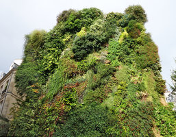 Oasis d&#039; Aboukir, Paris, 24 August 2015