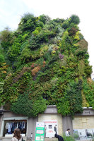 Oasis d&#039; Aboukir, Paris, 9th June 2015