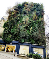 Oasis d&#039;Aboukir, Paris, Dec. 2021