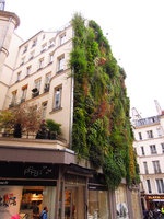 Oasis d&#039;Aboukir, profil view, October 2013