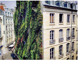 Oasis d&#039;Aboukir, Sept. 2013