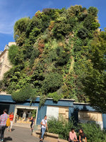 Oasis d&#039;Aboukir, Vertical Garden by Patrick Blanc, Sept. 2018