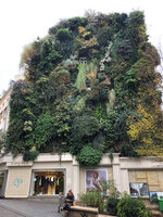 Oasis d&#039;Aboukir Vertical Garden on 25th November 2020
