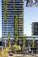 One Central Park, Vertical Gardens by Patrick Blanc, Photographer Simon Wood 