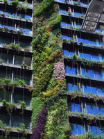 One Central Park, Sydney, blooming Vertical Garden, Oct 2014