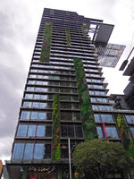 One Central Park, Sydney, Vertical Gardens by Patrick Blanc, few months after the plant installation