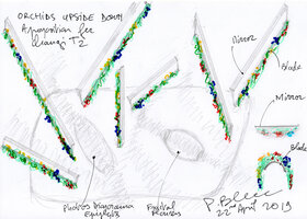 Orchids Upside Down, Changi T2, a proposition by Patrick Blanc