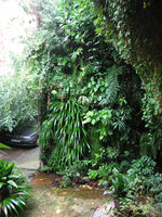 Outdoor vertical garden in Patrick Blanc Home, Creteil,1993