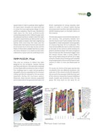 Green Cities in the World, Chapter  19