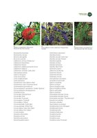 Green Cities in the World, Chapter  19