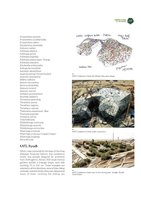 Green Cities in the World, Chapter  19