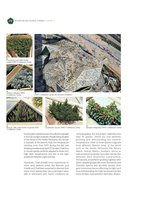 Green Cities in the World, Chapter  19