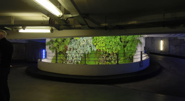 Parking Perrache, Philodendron, Polypodium, Begonia, Debregeasia, Soleirirolia, six years after the plant installation, Lyon, France