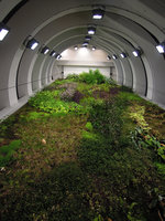 Parking Perrache, exit ramp some years after the plant installation, Lyon, France