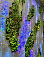 Part of Living and Digital Waterfall by Patrick Blanc and TeamLab, C Future City, Shenzhen