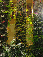 Part of the double sided Beach Suites Vertical Garden, Sofitel Palm Jumeirah, Dubai