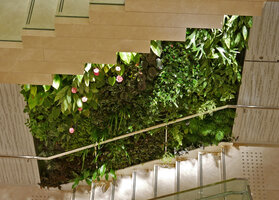 Part of the Living Canyon vertical garden by Patrick Blanc through the stairs at Ginza Six, Tokyo