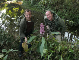 Pascal Heni and Patrick Blanc happy around Phlogacanthus curviflorus in full bloom, Putao, Kachin, Myanmar, Dec. 2017