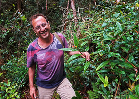 Pascal Héni showing the infructescence of Riedelia exalata with two mature dehiscent fruits, Anggi lakes, 2000 m asl, Arfak Mts, West Papua, May 2025