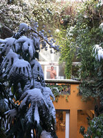 Pascal Heni taking his shower by -5° C, Feb. 10th 2021