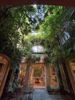 Patio with walls covered by vertical gardens thus reducing temperature to 26°C while temperature was 40*C outside, Patrick Blanc and Pascal Héni house, June 2025