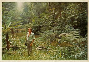 Patrick Blanc, 19 years old, during his first field trip in the forests of Malaysia and Thailand, August 1972