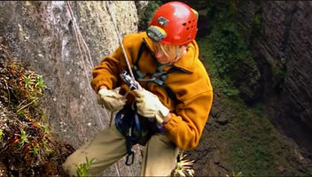Patrick Blanc ajusting something in his aquipment while going down the deep chasm, close to a clump of Everardia montana, Kukenan Tepui, Venezuela, March 1999