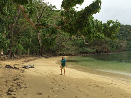 Patrick Blanc along a beach under Hernandia nymphaeifolia partly destroyed by the last February cyclone, Taveuni, Fiji, Aug. 2016