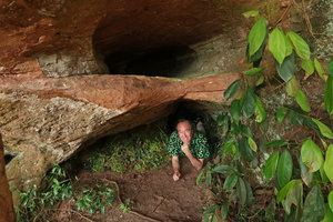 Patrick Blanc alongside a dense population of Sonerila harmandii under a rock shelter, Phu Hin Rong Kla NP, Phitsanulok, Thailand, Nov. 2018