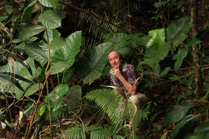 Patrick Blanc among Alocasia inornata leaves, Fraser&#039;s Hill, Malaysia, Aug. 2018