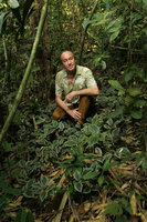 Patrick Blanc among a vegetative population of an Urticaceae, probably Elatostema latifolium, Ranong, Thailand, March 2017