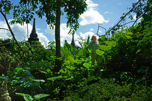Patrick Blanc among a vegetative population of Englerarum montanum at the base of a karst hill close to a temple, Doi Chiang Dao, Thailand, Oct. 2023.