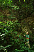 Patrick Blanc among Begonia coriacea clumps in vertical limestone habitat, Lowo Cave, Trenggalek, Java, May 2018