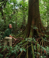 Patrick Blanc among buttresses and stilt roots, Gunung Mulu NP, Sarawak, Borneo, Sept. 2018