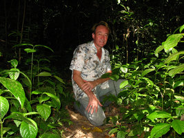 Patrick Blanc among Chloranthus erectus, Palawan, Philippines, Feb 2009