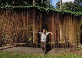 Patrick Blanc among Cissus verticillata (syn. C. sicyoides) roots, Singapore Botanic Gardens, Aug. 2013