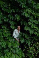 Patrick Blanc among Elatostema macrophyllum, Gitgit, Bali