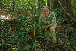 Patrick Blanc among erect Dracaena angustifolia stems, Pulau Gaya, Sabah, Borneo, Aug. 2018