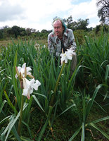 Patrick Blanc among flowering population of Crinum abyssinicum, Bale NP, 2300 m asl, Ethiopia, Jan. 2019