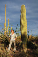 Patrick Blanc among Fouquieria splendens and old Carnegiea gigantea, Saguaro NP, Arizona, Feb. 2010