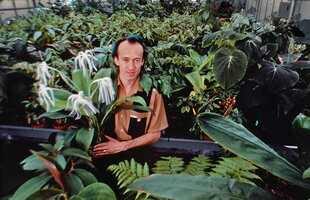 Patrick Blanc among his newly introduced plants for horticulture, 1988