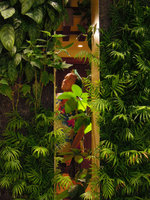 Patrick Blanc among his plants in the double sided Beach Suites Vertical Garden, Sofitel Palm Jumeirah, Dubai